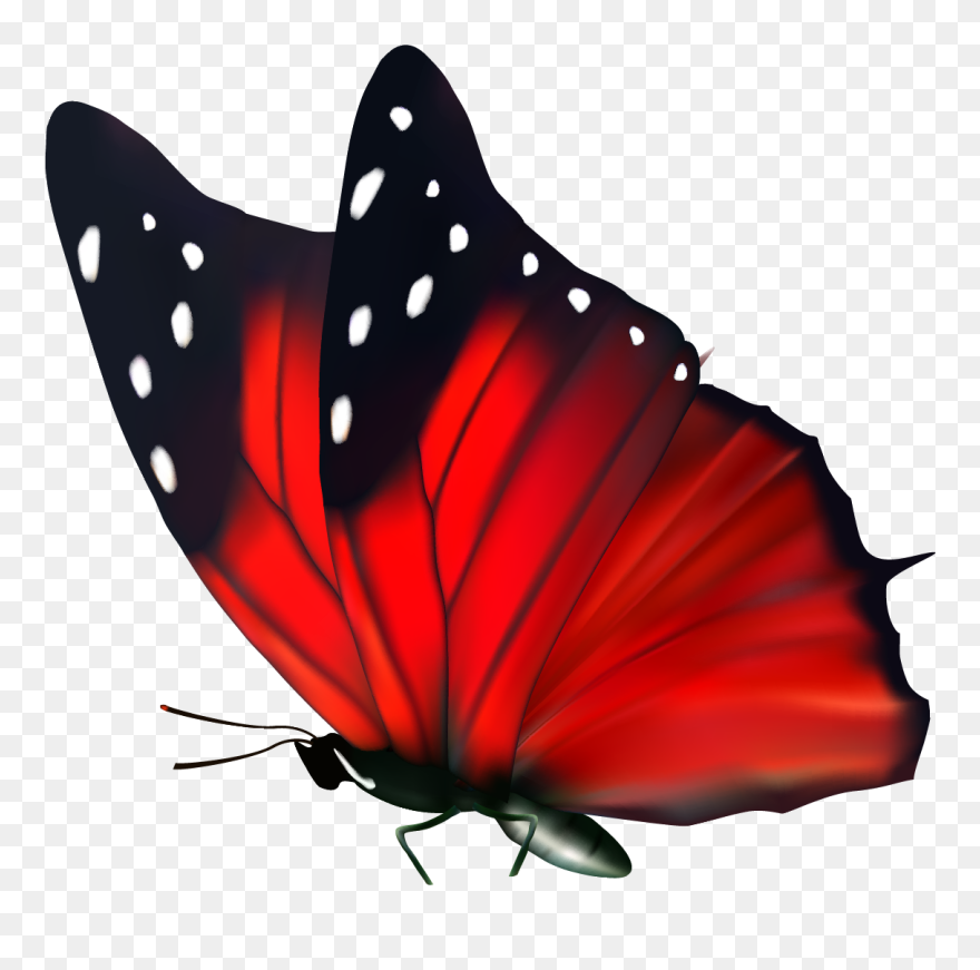 Transparent Red Butterfly Png Clipart