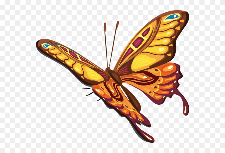 Tube - Butterfly Vector Png Clipart