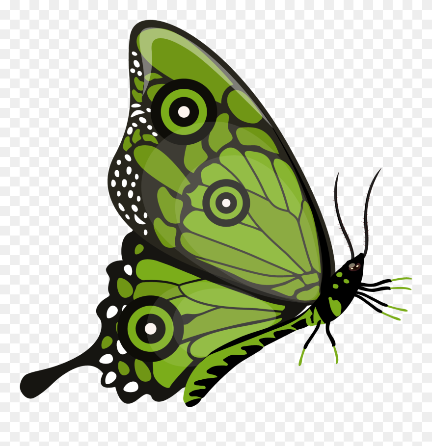 Brush-footed Butterfly Clipart