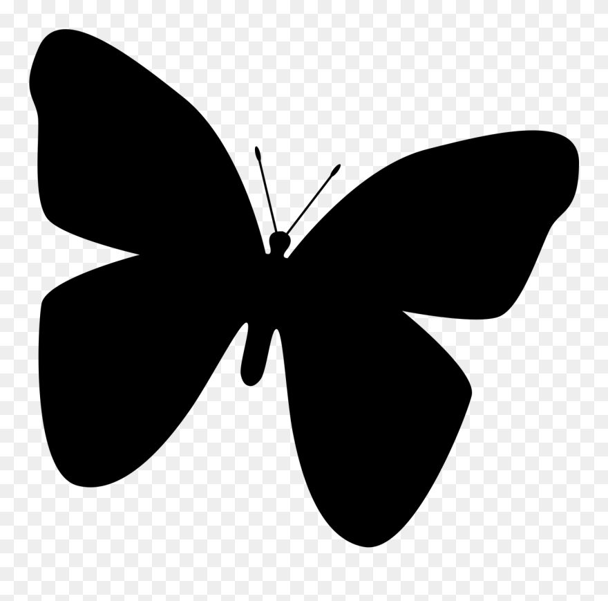 Butterfly Silhouette Clip Art - Butterfly Wing Silhouette - Png Download