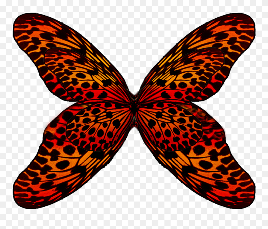 Wings Png By Moonglowlilly Wings Png By Moonglowlilly - Clip Art Transparent Png