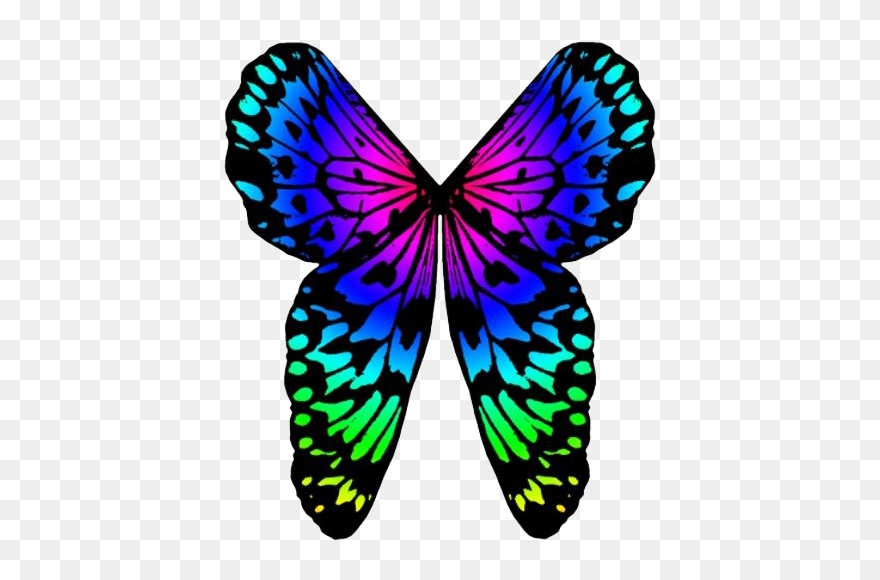 Rainbow Butterfly Png Image Background - Rainbow Butterfly Clipart