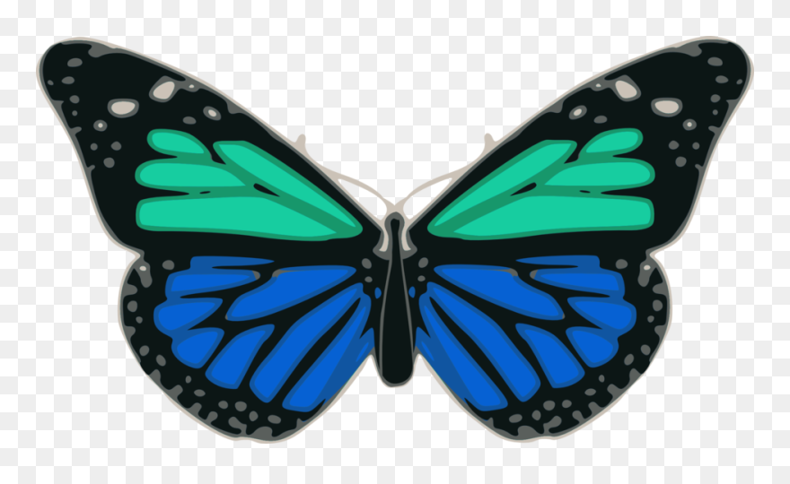 Turquoise And Blue Clipart