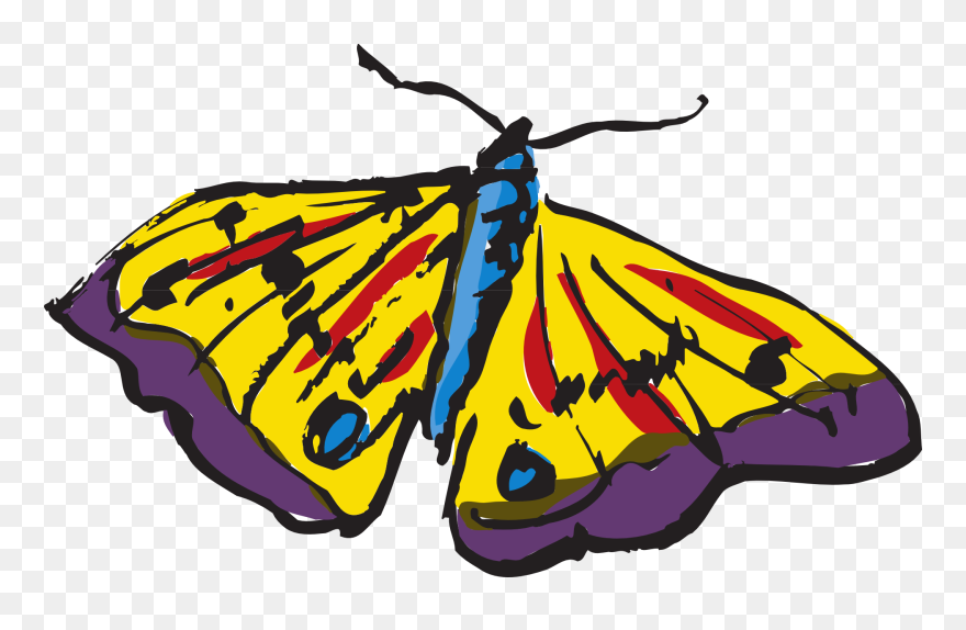 Butterflies Clipart
