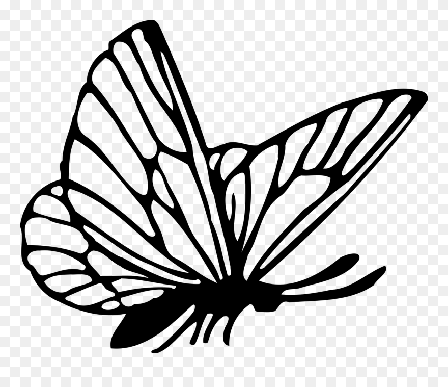 Drawing Clip Butterfly - Black And White Butterfly Cartoon - Png Download