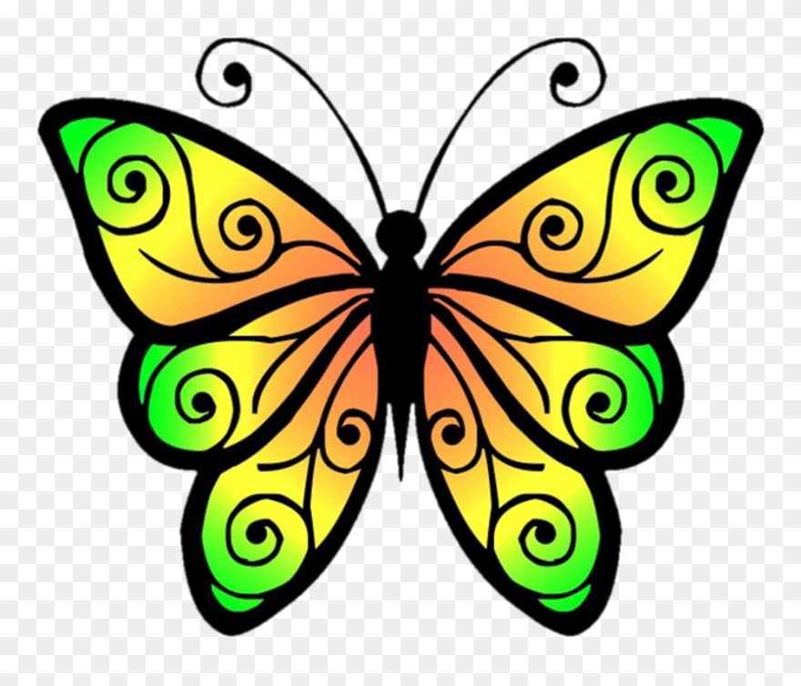 Image No Background - Clipart Picture Of A Butterfly - Png Download