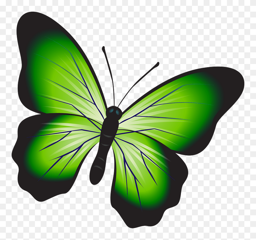 Green Butterfly Clipart - Fluturi Png Transparent Png