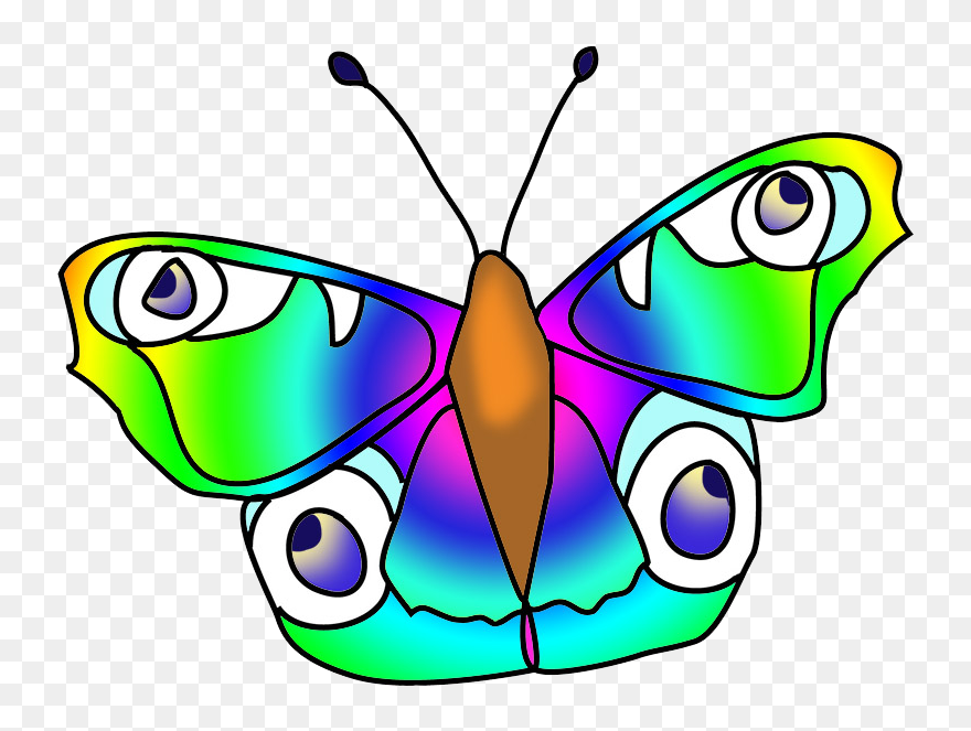 Green Blue Butterfly With Eyes - Brush-footed Butterfly Clipart
