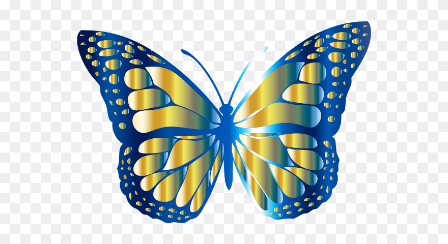 Monarch Butterfly 2 Variation - Butterfly Picture For Kids Clipart