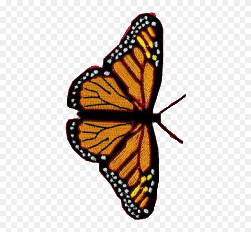 Wildflower Cases Iphone 11 Clipart