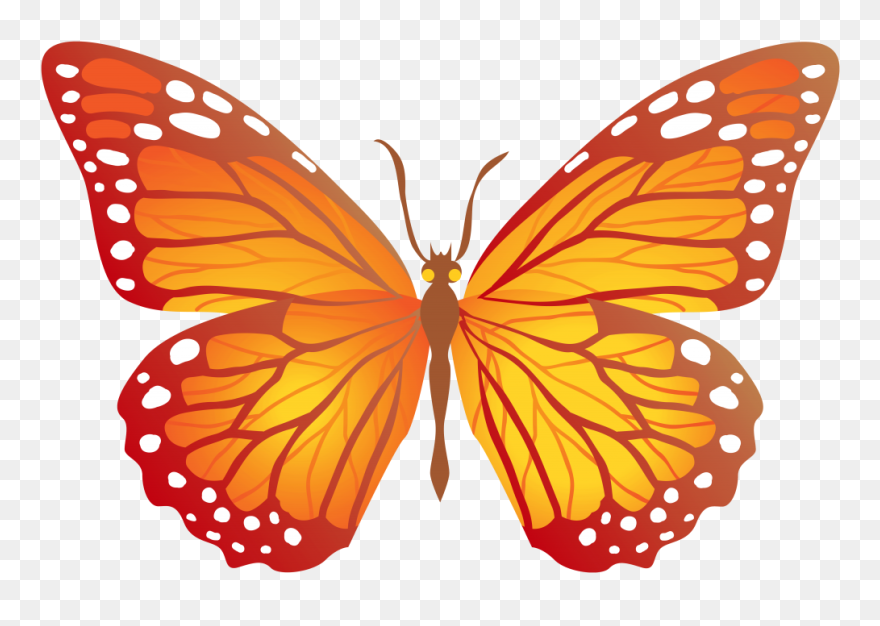 Orange Butterfly Clipart Png Transparent Png