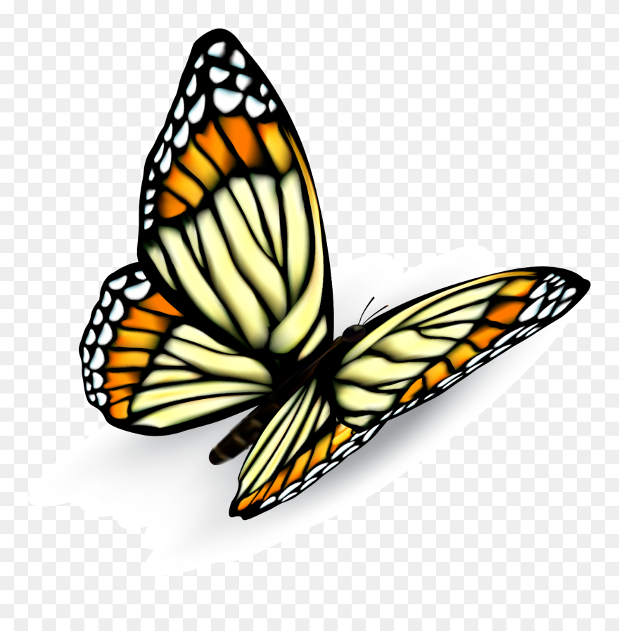 Disegni Fiori Colorati Realistici Clipart