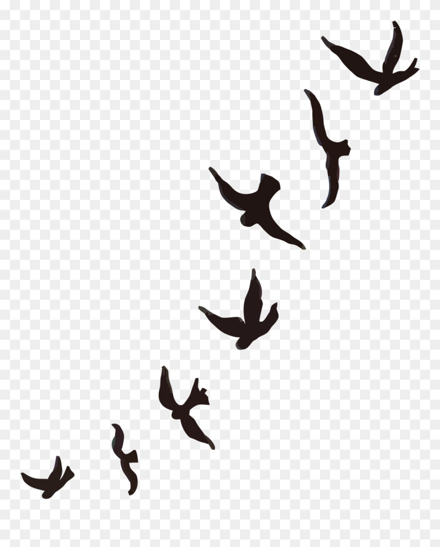 Mountain Bluebird Tattoo Sparrow Cygnini - Passaros Voando Silhueta Png Clipart