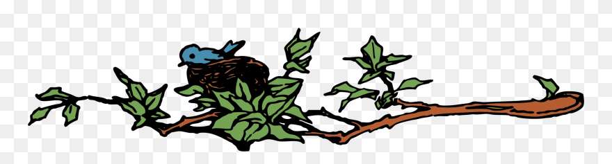 Plant,flora,leaf - Tree Nest Bird Clip Art - Png Download