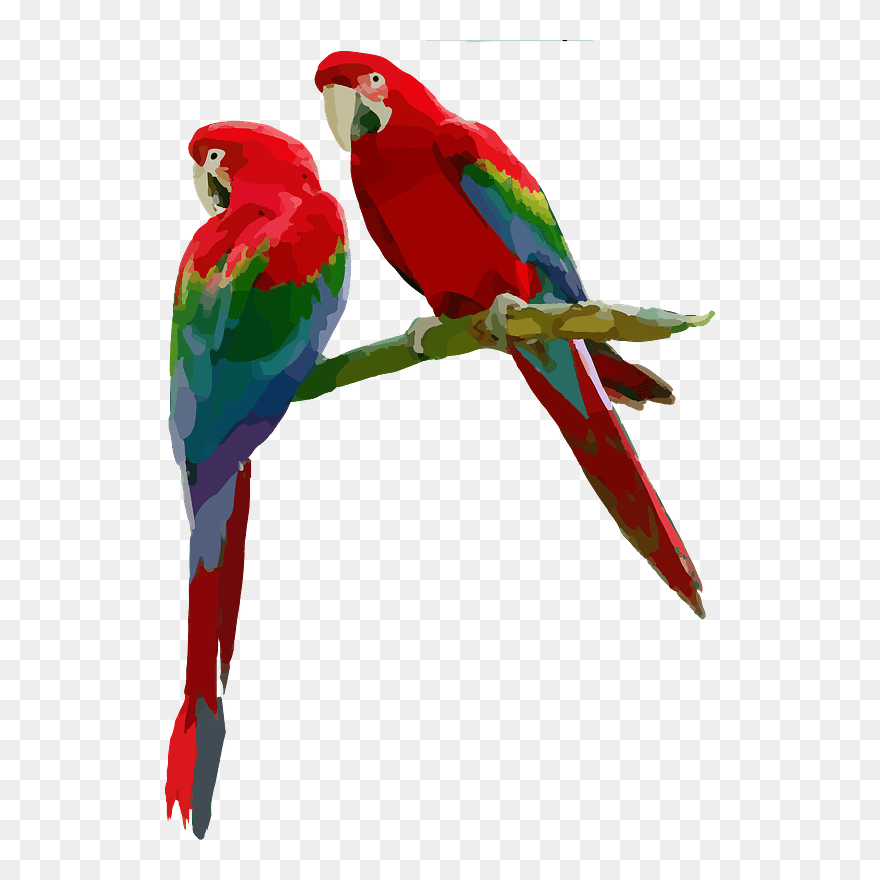 Parrots Sitting On A Branch Clipart - Scarlet Macaw Png Transparent Png