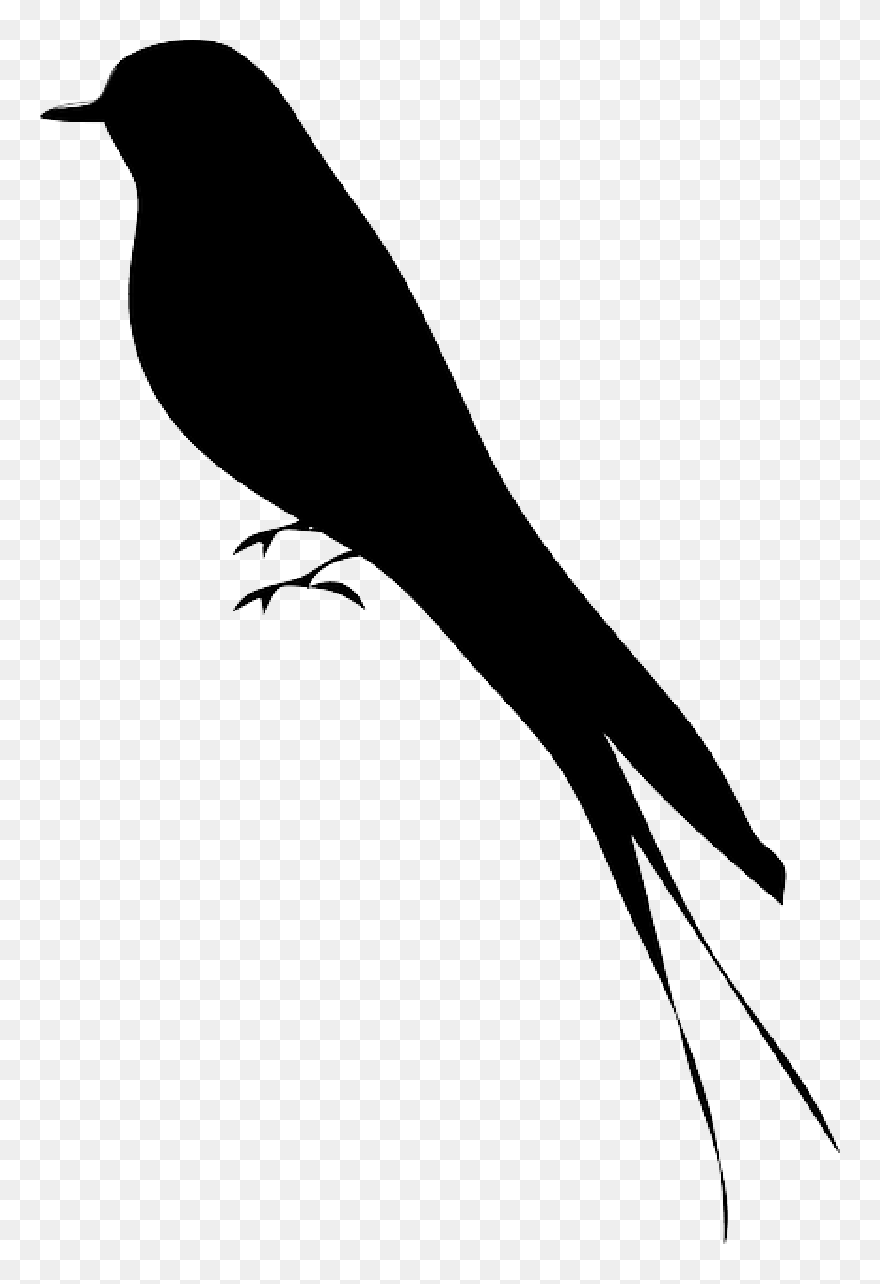 Transparent Bird On Branch Clipart - Bird Silhouette - Png Download