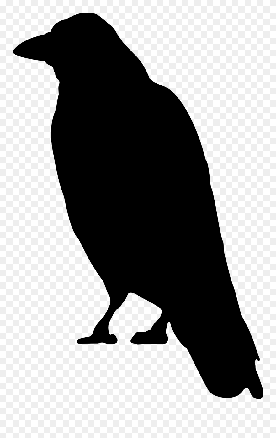 Crows Clip Art - Crow Clip Art - Png Download