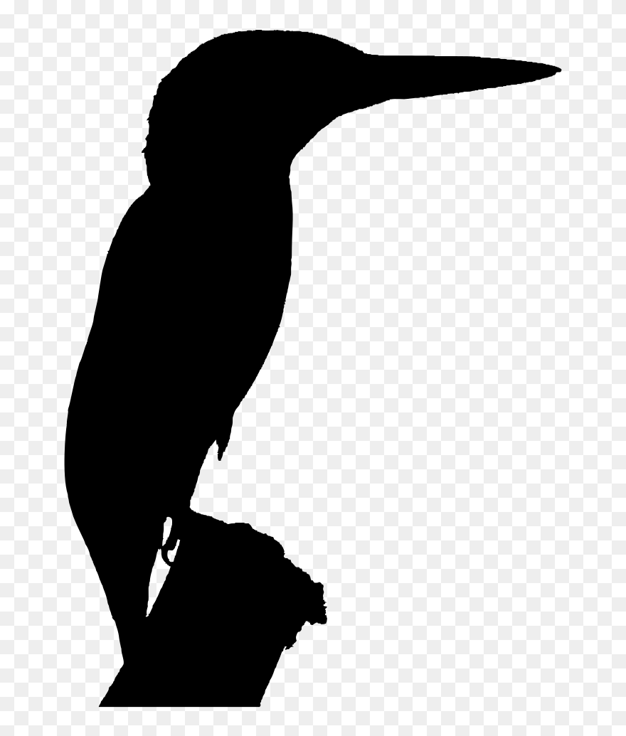 Silhouette Belted Kingfisher Clip Art - Kingfisher Silhouette - Png Download