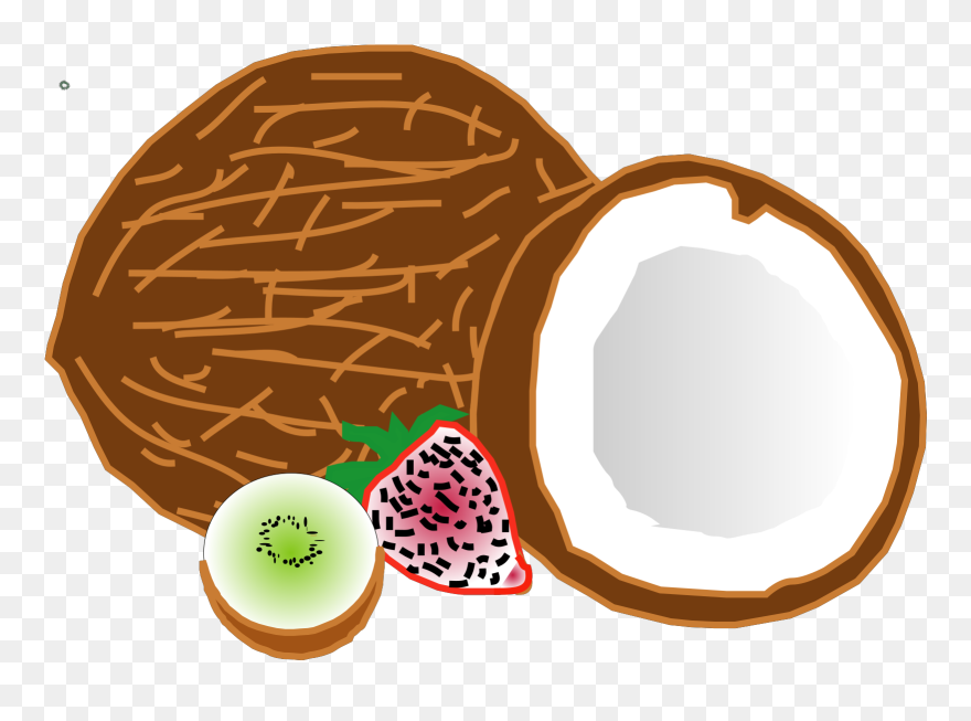 Top Coconut Producing Countries Clipart