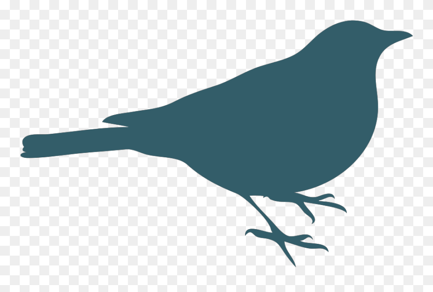 Bird Silhouette Free Svg Clipart