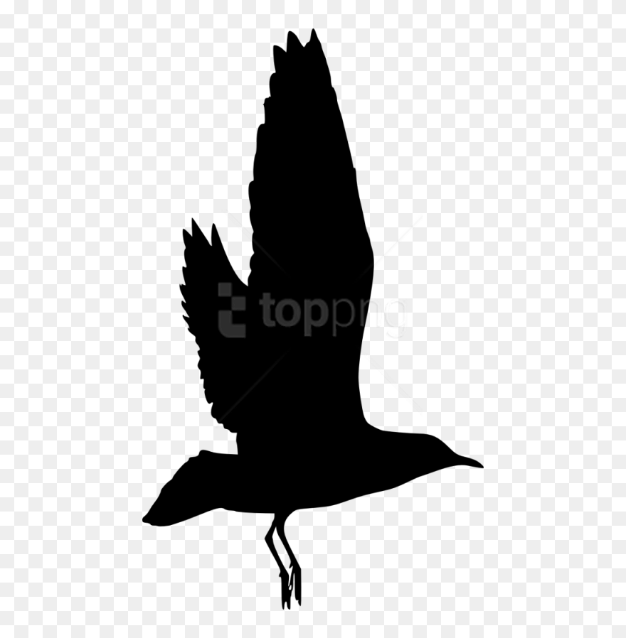 Free Png Bird Silhouette Png Clipart
