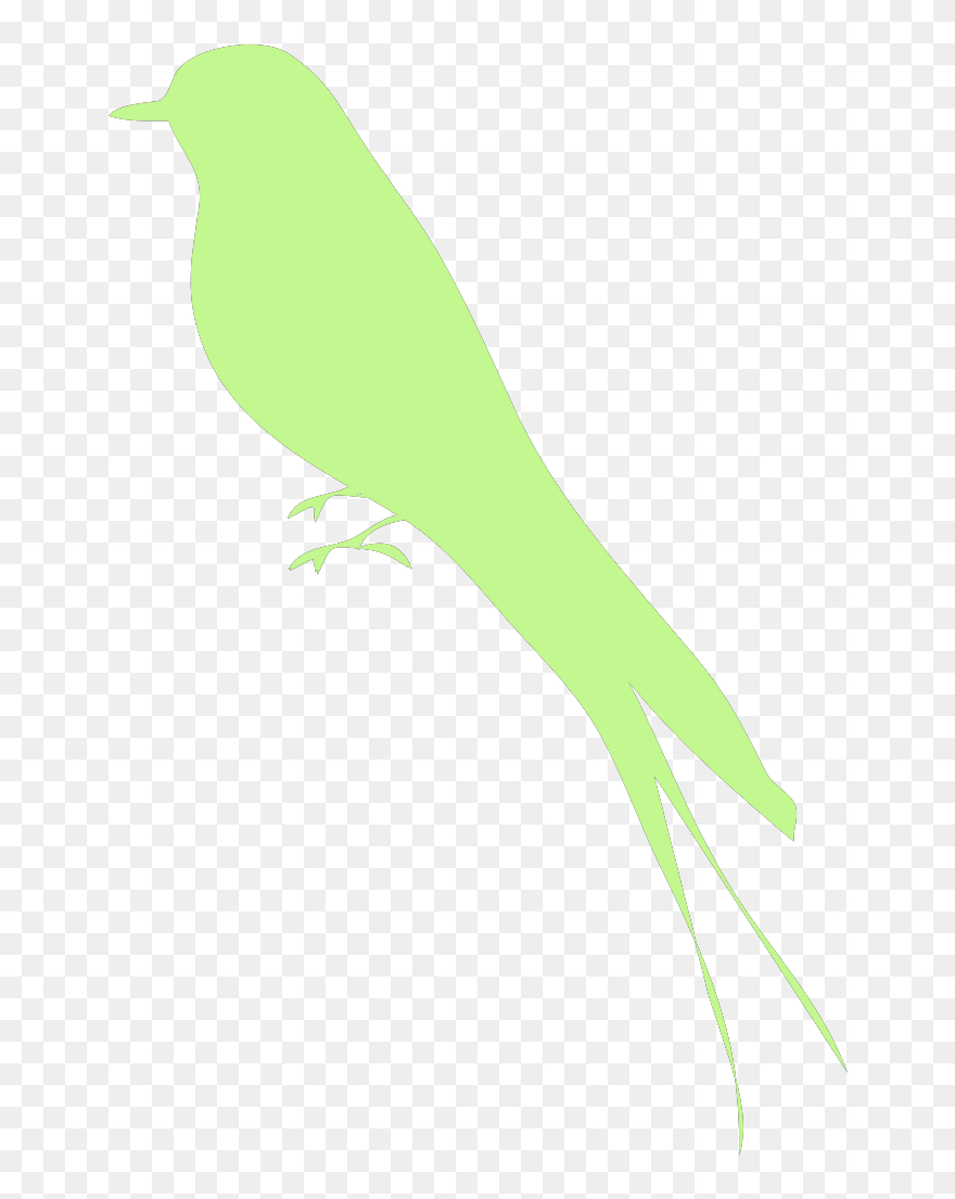 Bird Silhouette Svg Clip Arts - Atticus Finch Quotes You Never Really Understand - Png Download