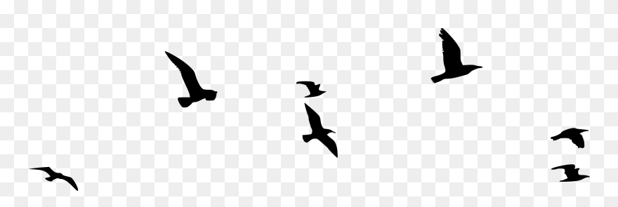 Flock Of Birds Silhouette Clipart