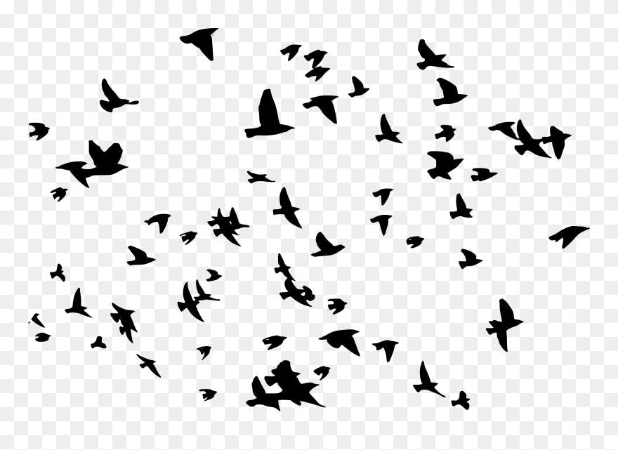 8 Flock Of Birds Silhouette - Flock Of Birds Transparent Clipart