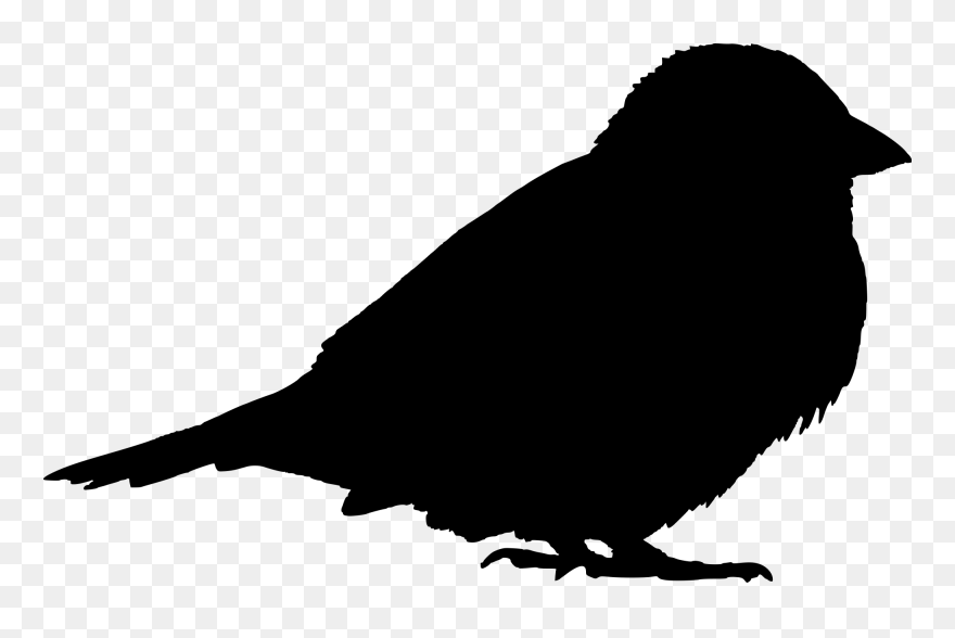 Transparent Sparrow Clipart - Sparrow Silhouette - Png Download