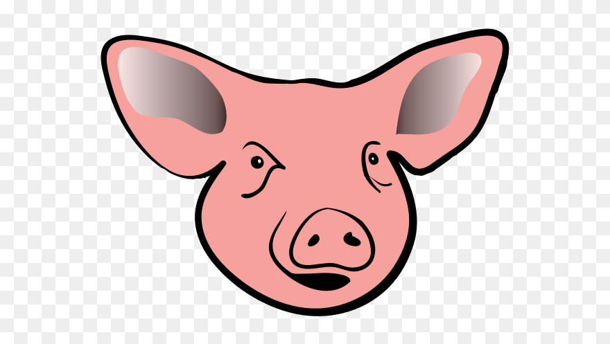 Pig Head-1574677662 - Pig Head Clip Art - Png Download