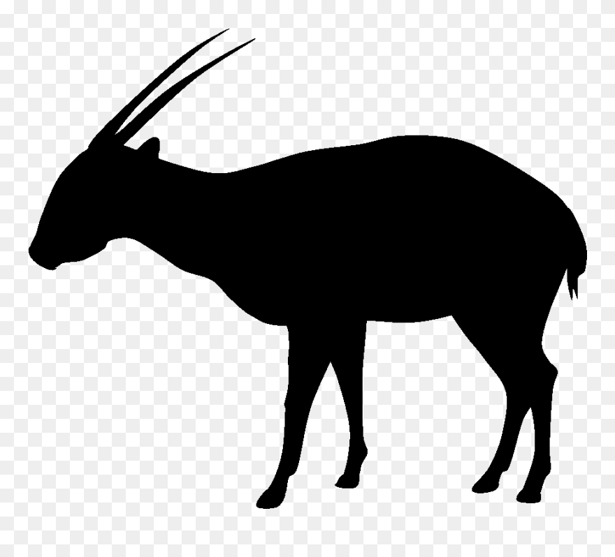 Make A Silhouette - Saola N Transparent Background Clipart