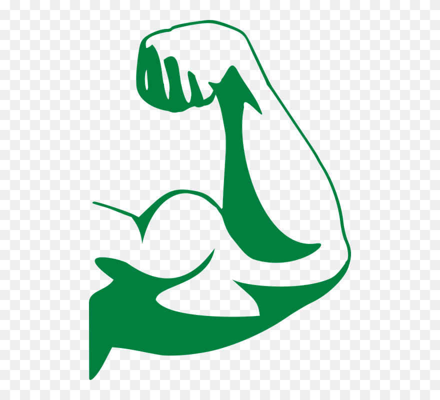 Strong Arm Muscle - Bicep Flex Clip Art - Png Download