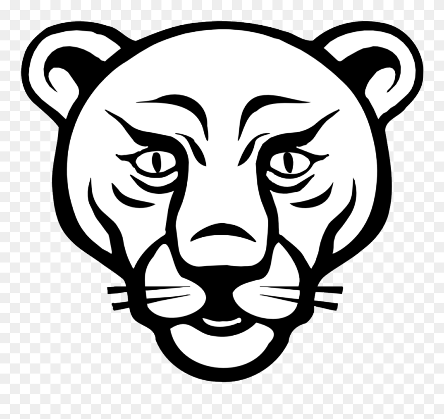 Animal Face Colouring Pages - Mountain Lion Drawing Face Clipart