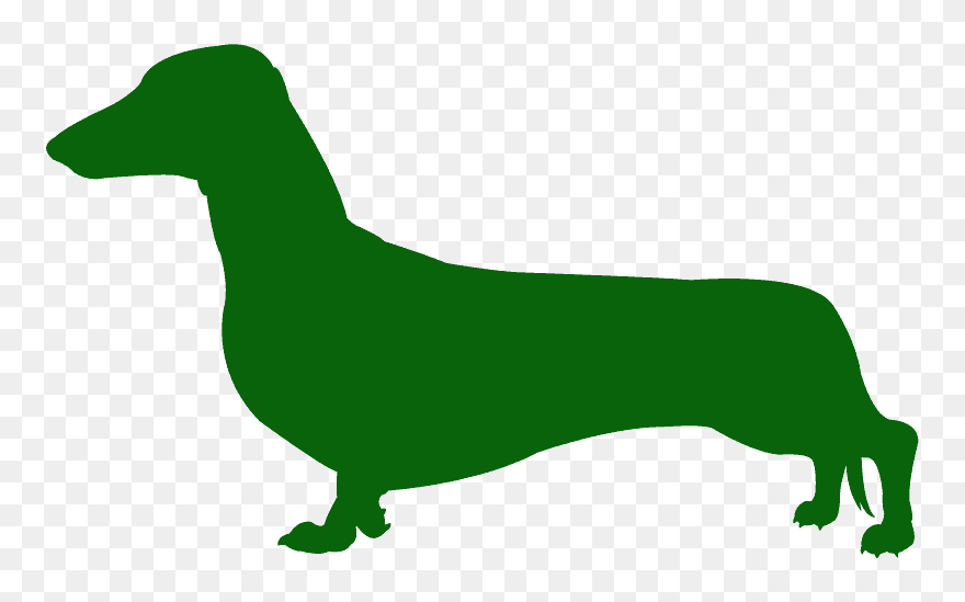 Companion Dog Clipart