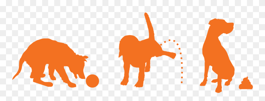 Clip Art - Png Download