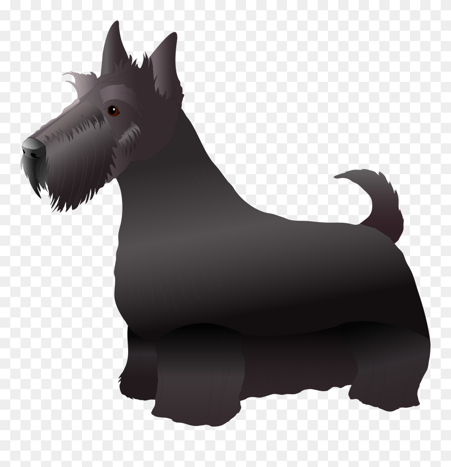 Scottish Terrier Miniature Schnauzer West Highland - West Highland White Terrier Stickers Clipart