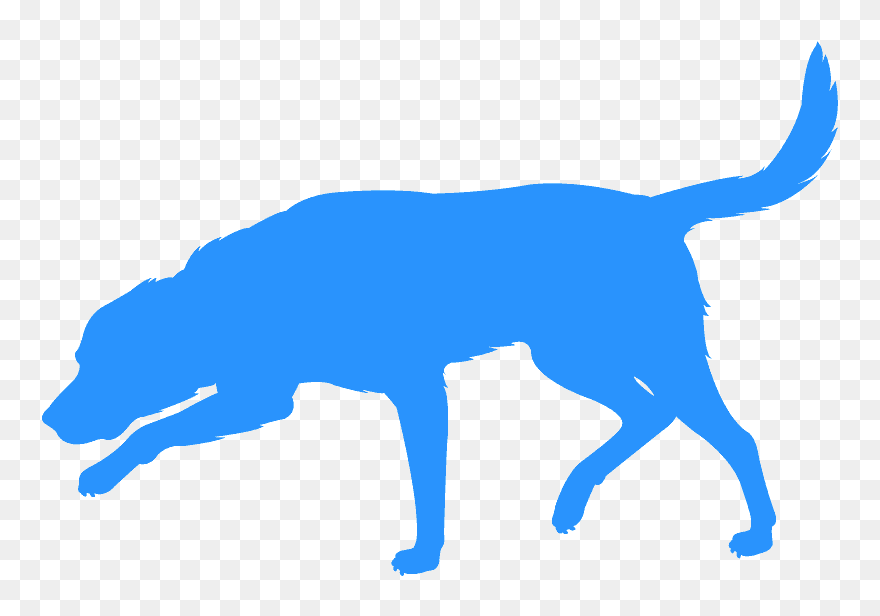 Labrador Retriever Clipart