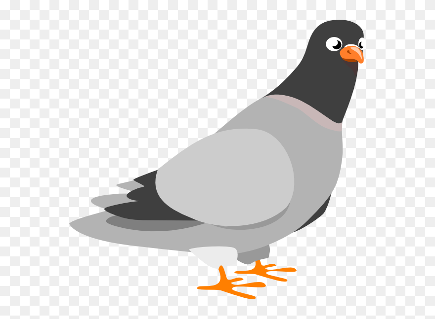 Pigeon Clip Art - Png Download