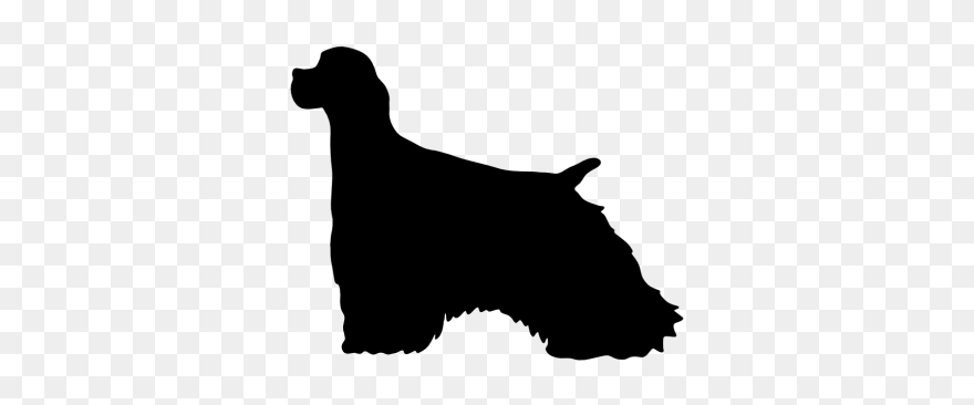 Schnauzer Dog Confirmation Clipart Clipart Library - Spaniel - Png Download