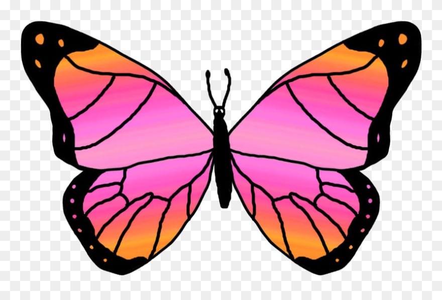 Free Butterfly Clip Art Graphics Clipart Free Clipart - Png Download