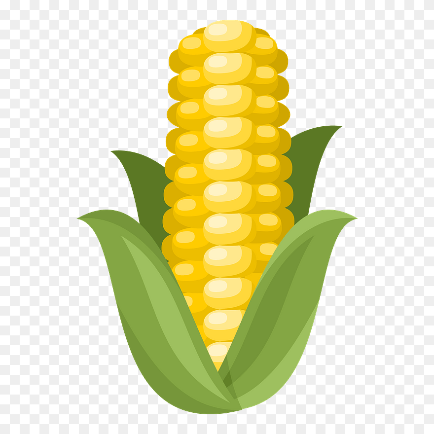Ear Of Corn Clipart - Bromelia - Png Download