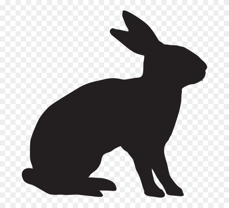 Food Allergy The Tale Of Peter Rabbit - Silhouette Peter The Rabbit Clipart