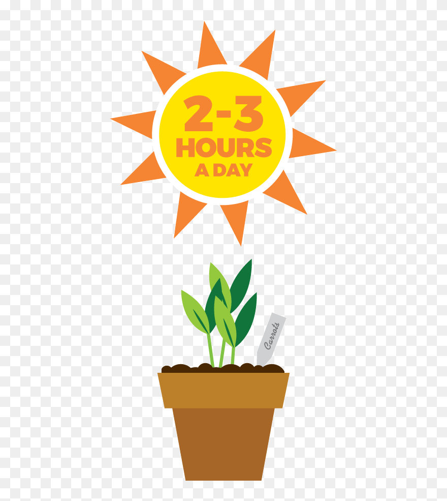 Seedling Clipart Tiny Plant - Png Download