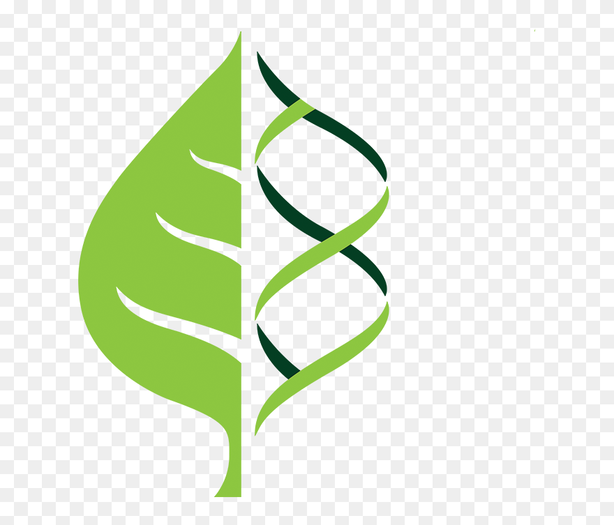Crops Clipart Plant Science, Crops Plant Science Transparent - Png Download