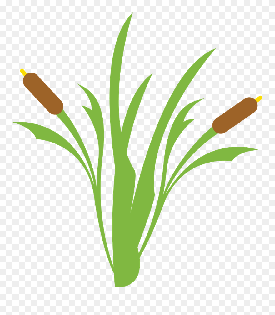 Clip Art - Png Download