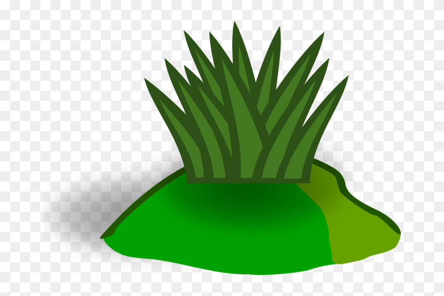 Plant,leaf,flowerpot - Clipart White Grass Png Transparent Png