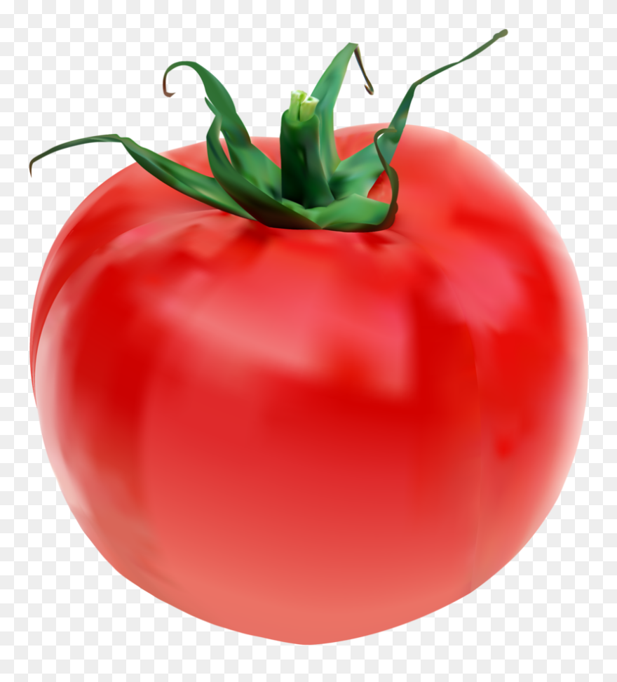 Collection Of Free Tomato Drawing Object Download On - Tomato Clipart