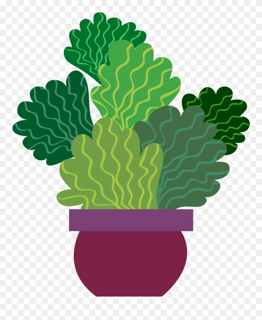 Illustration Clipart