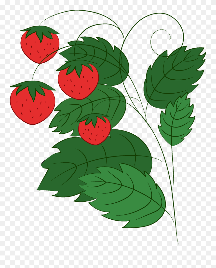 Clip Art - Png Download