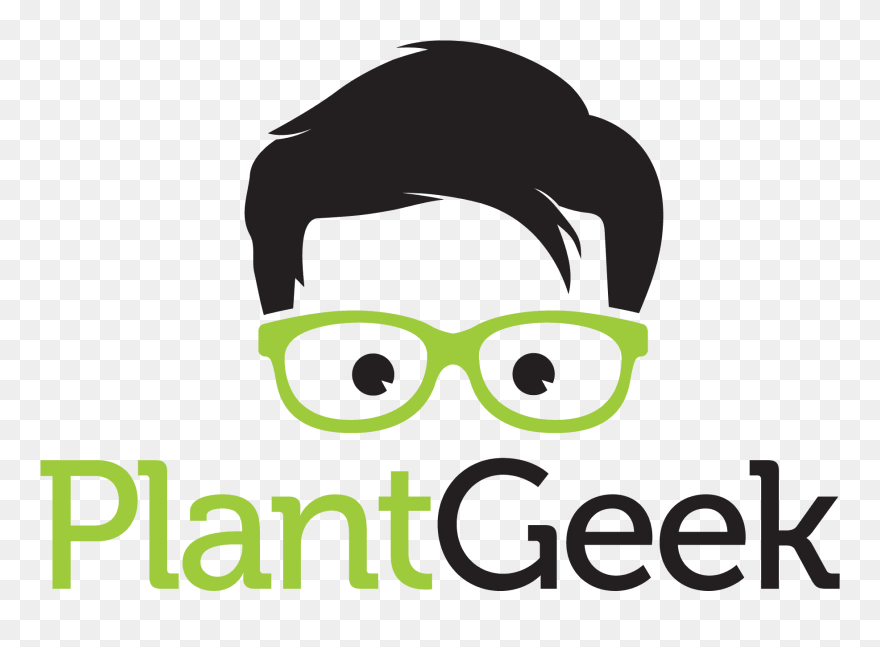 Illustration Clipart